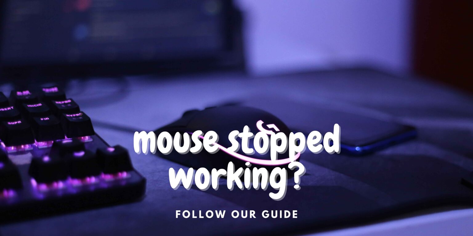 Things to do if your mouse suddenly stops working Mouse Accessories